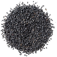 Sesame-Seeds