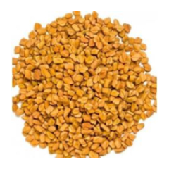 FENUGREEK SEEDS