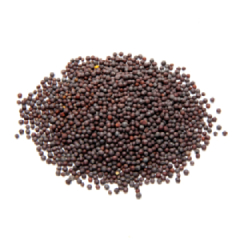 mustard-seeds